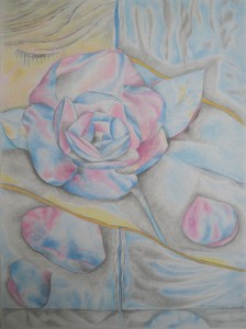 La rose bleue d'après un poème de Ronsard-05/2016-Crayon de couleur - Dim: 42 x 29,5 cm